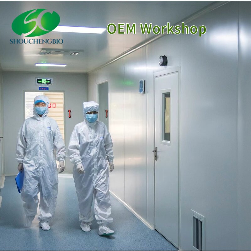 Sodium Hyaluronate Powder Manufacturer - OEM/ODM Food Grade CAS 9067-32-7