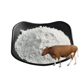 Sodium Chondroitin Sulfate Manufacturer - OEM/ODM 90%/95% Food Grade CAS