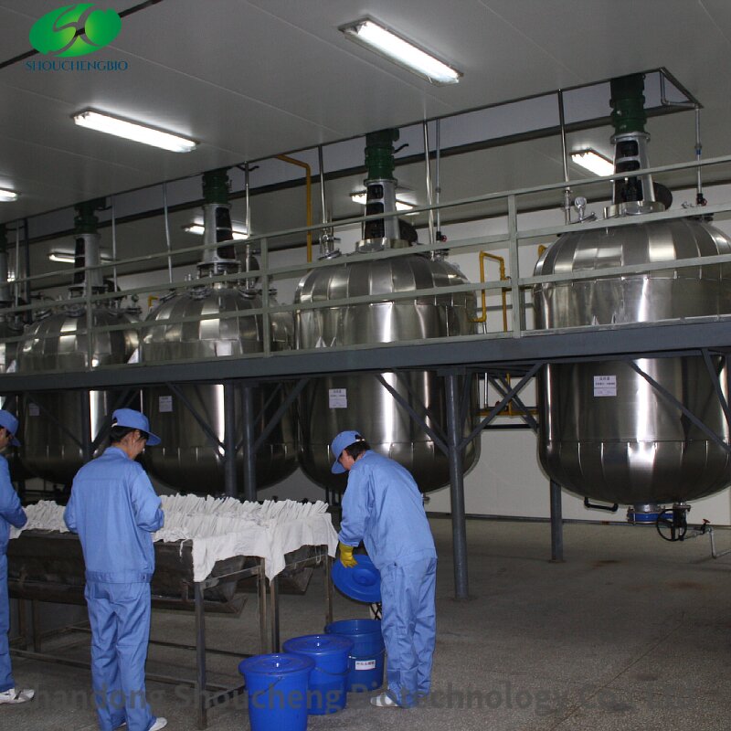 Glucosamine Powder Manufacturer - OEM/ODM USP Grade Healthcare Supplement