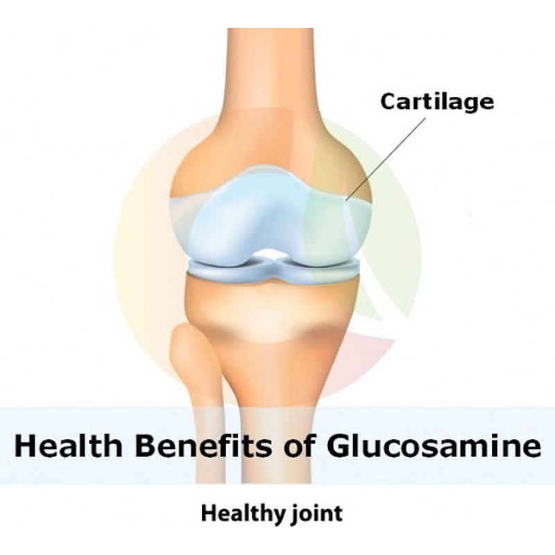 Glucosamine Supplements Manufacturer - OEM/ODM Sulfate 2kcl 99% with Chondroitin