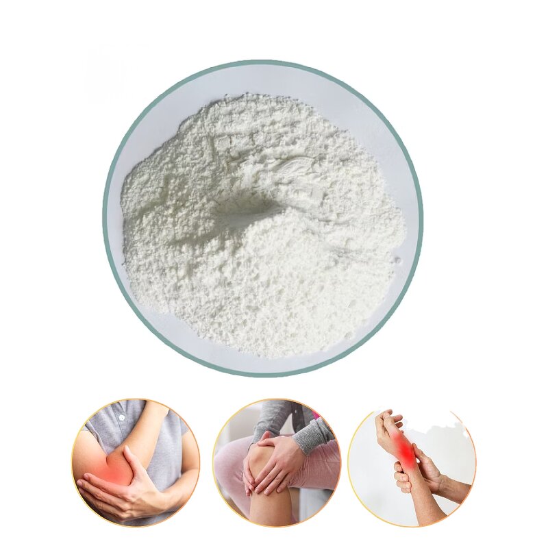 Bovine Cartilage Powder Manufacturer - OEM/ODM Bulk Animal Extracts Joint