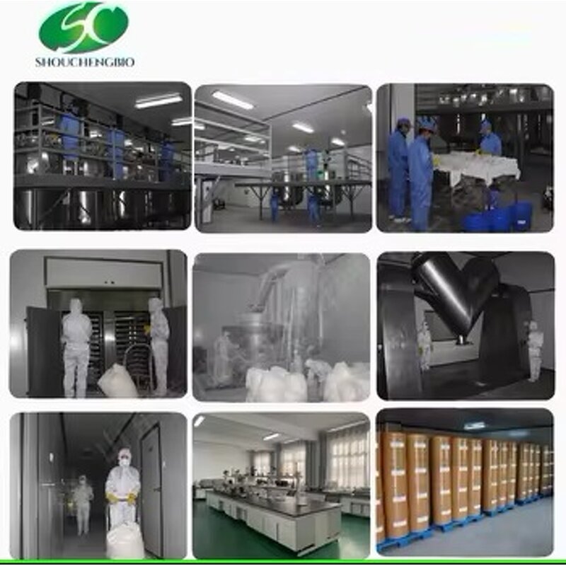 Marine Fish Cartilage Powder Manufacturer - OEM/ODM Food Grade Natural Sports