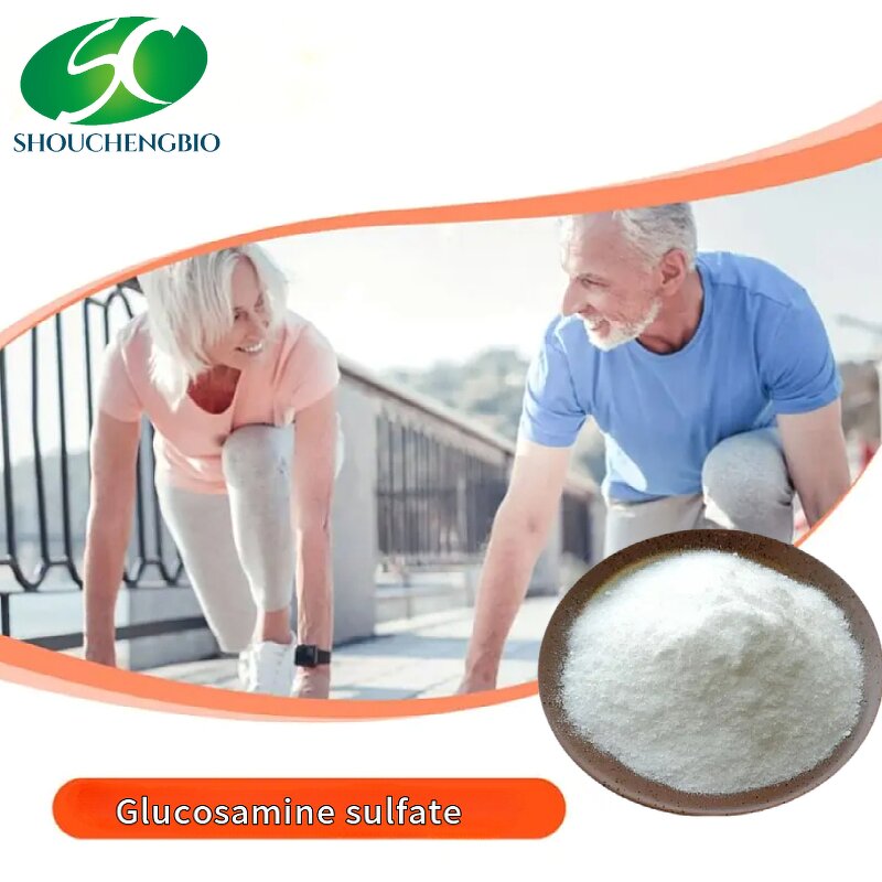 Glucosamine Sulfate Powder Manufacturer - OEM/ODM Health Supplements Usp Grade