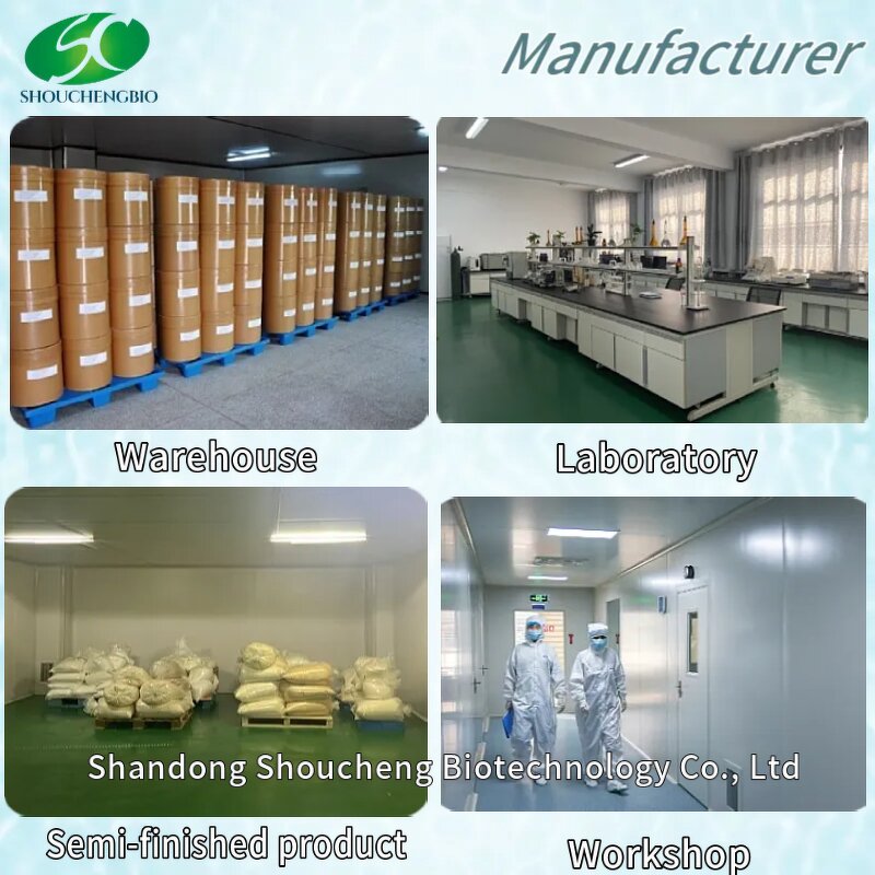 Chondroitin Sulfate Sodium Powder Manufacturer - OEM/ODM Bulk Bovine Chicken