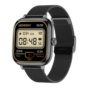 AI Smart Watch Supplier - 1.72inch TFT Ladies New Design IP68 Fitness Tracker