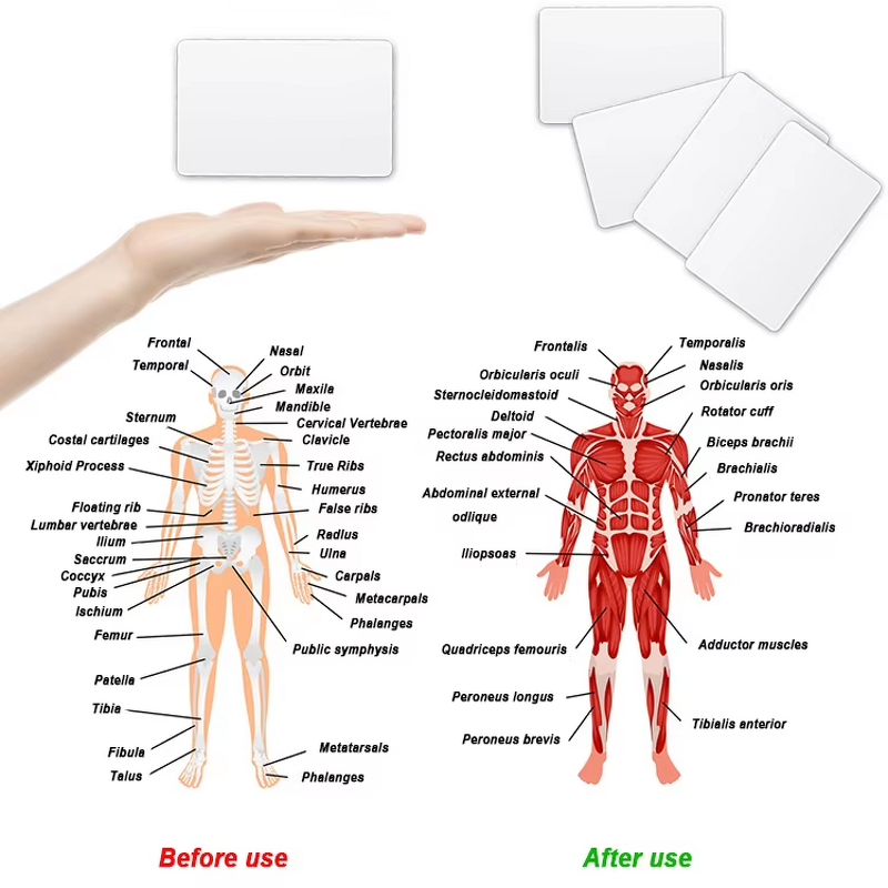 Nume Card Manufacturer - Customized Nano Terapy Bio Energy Saving Scalar Chip