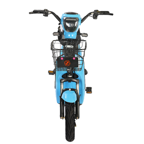 Electric Bicycle Manufacturer - OEM/ODM Classic Electro Motor 45Kmh Cafe