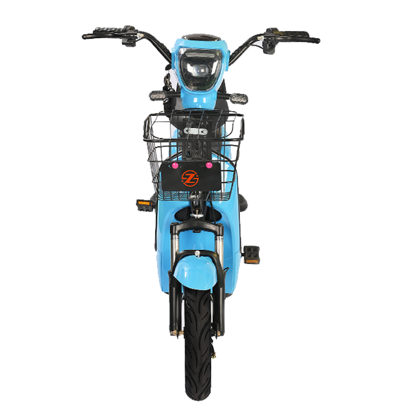 Electric Bicycle Manufacturer - OEM/ODM Classic Electro Motor 45Kmh Cafe