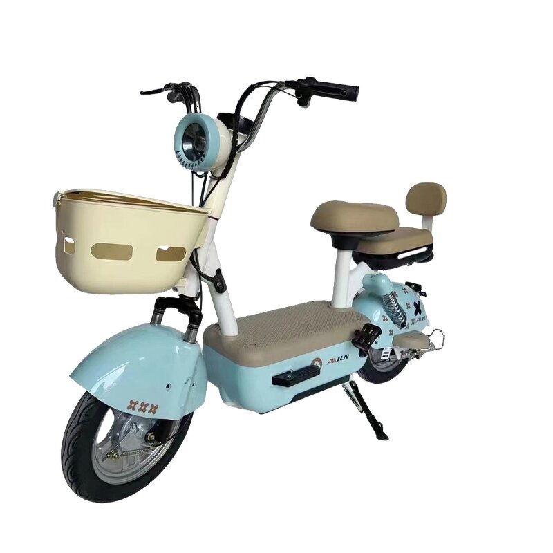 Electric Bike Manufacturer - Factory Price Fashion Two-person 350w48v