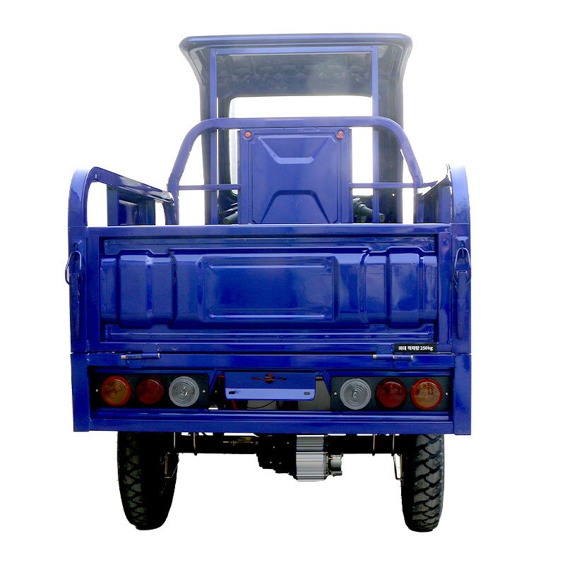 Electric Tricycle Manufacturer - Factory Direct Sale 1000W Cargo Handling