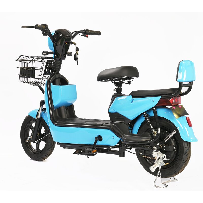 Electric Bicycle Manufacturer - OEM/ODM Classic Electro Motor 45Kmh Cafe