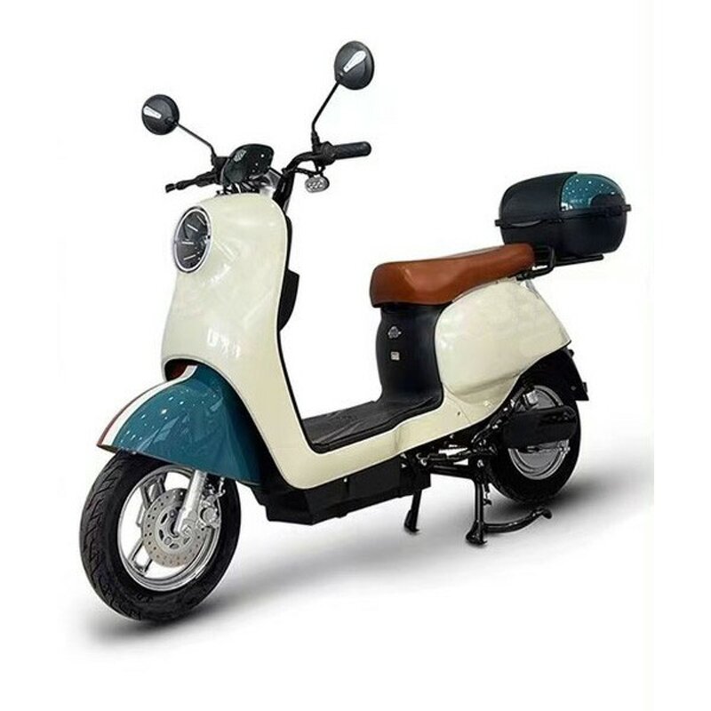 Electric Bicycle Manufacturer - New Model Direct Sales Including Batteries