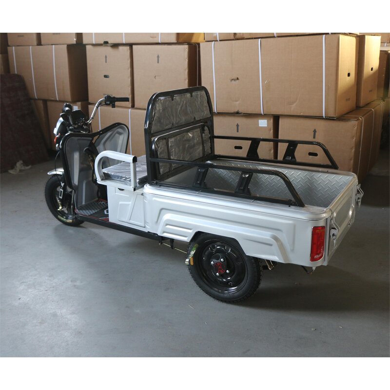 Electric Tricycle Manufacturer - OEM/ODM 2025 3-wheel 800w High-power Cargo