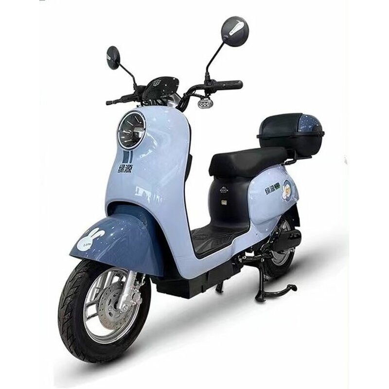 Electric Bikes Manufacturer - OEM/ODM 500w City Do Not Contain Batteries