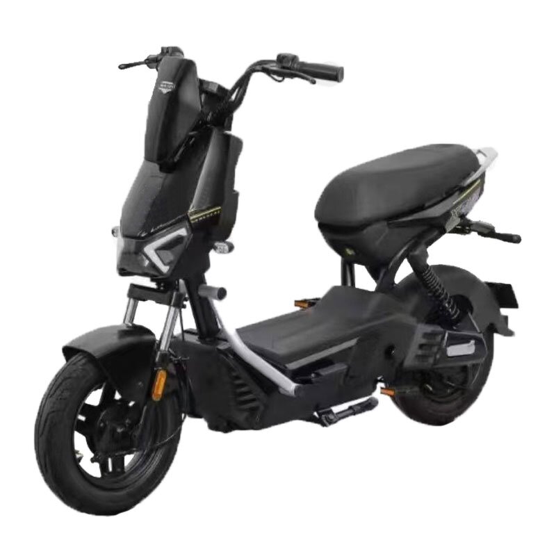 Electric Bicycle Manufacturer - OEM/ODM 500w Adult 2-wheel with Lead-acid