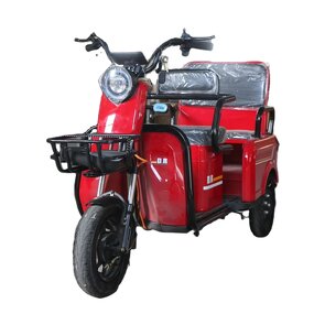Electric Tricycle Manufacturer - OEM/ODM Electric City 600W High Power