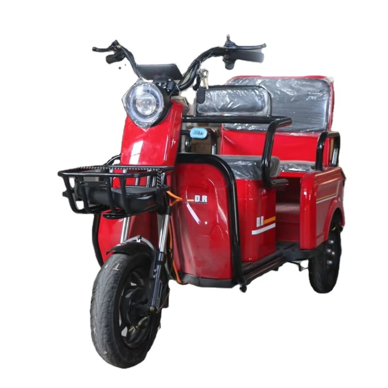 Electric Tricycle Manufacturer - OEM/ODM Electric City 600W High Power