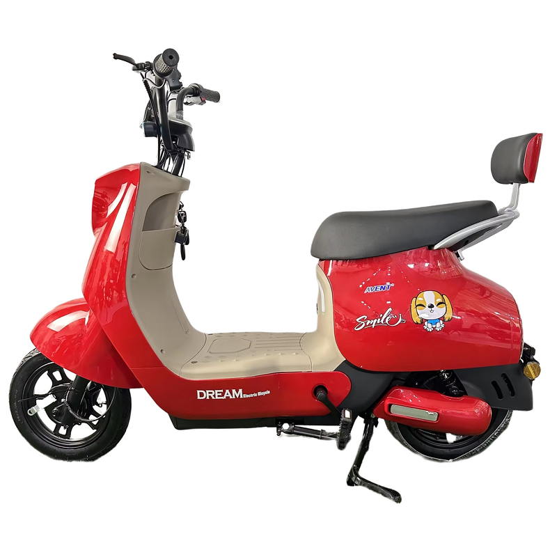 Electric City Bicycle Manufacturer - OEM/ODM Luxury Type Commute Anti-theft