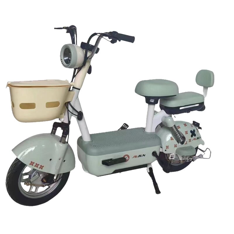 Electric Bike Manufacturer - Factory Price Fashion Two-person 350w48v