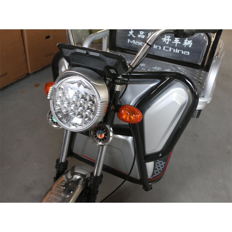 Electric Tricycle Manufacturer - OEM/ODM 2025 3-wheel 800w High-power Cargo