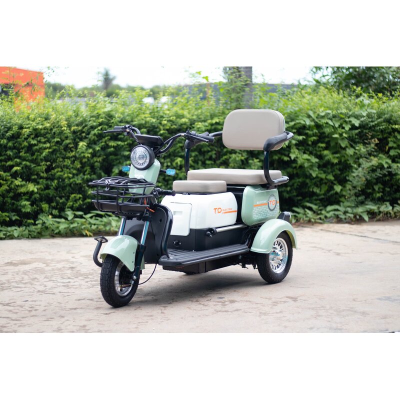 Electric Tricycle Manufacturer - Factory sales City Three wheeled moped