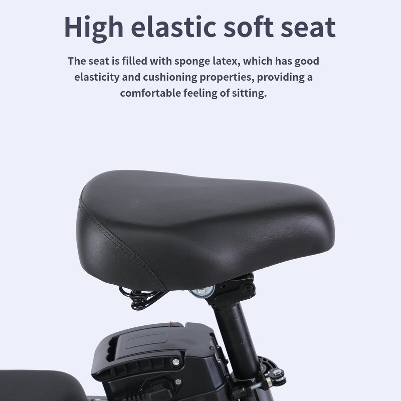 Folding Electric Bike Manufacturer - OEM/ODM Hot Sale Two Seat Portable