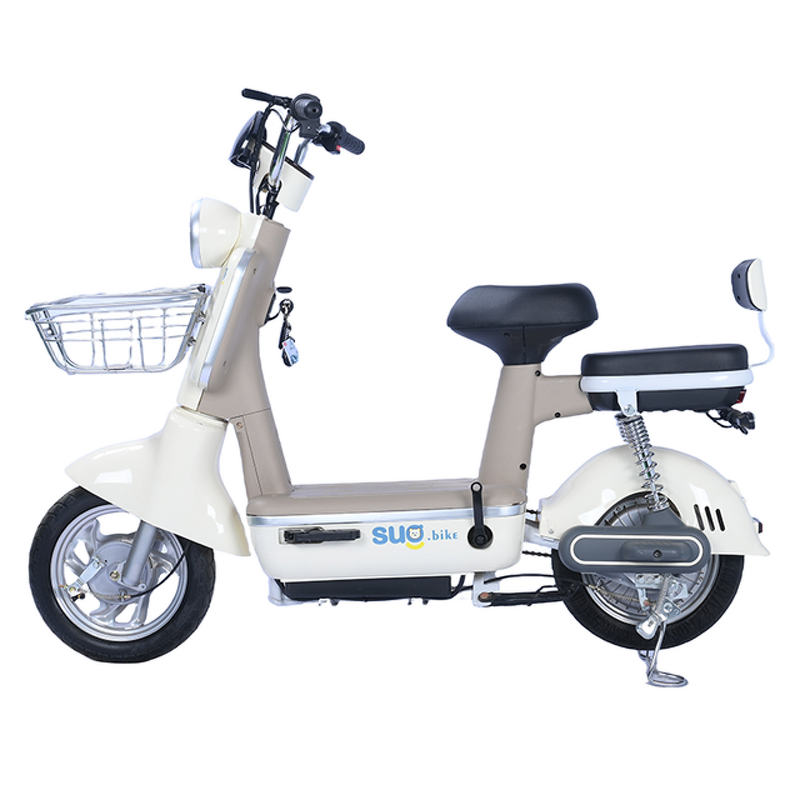Electric Bike Manufacturer - OEM/ODM 2024 Two Lightweight Stock Direct Sales