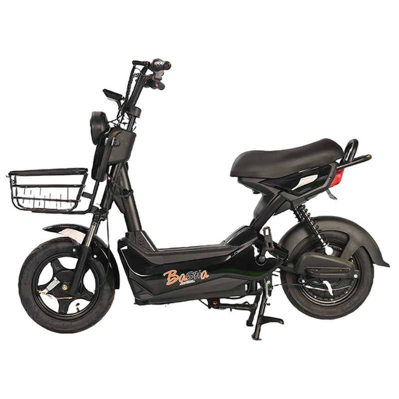 Electric Bicycle Manufacturer - OEM/ODM Bicicleta Electrica Para Adultos