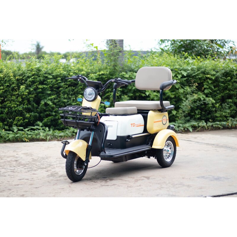 Electric Tricycle Manufacturer - Factory sales City Three wheeled moped