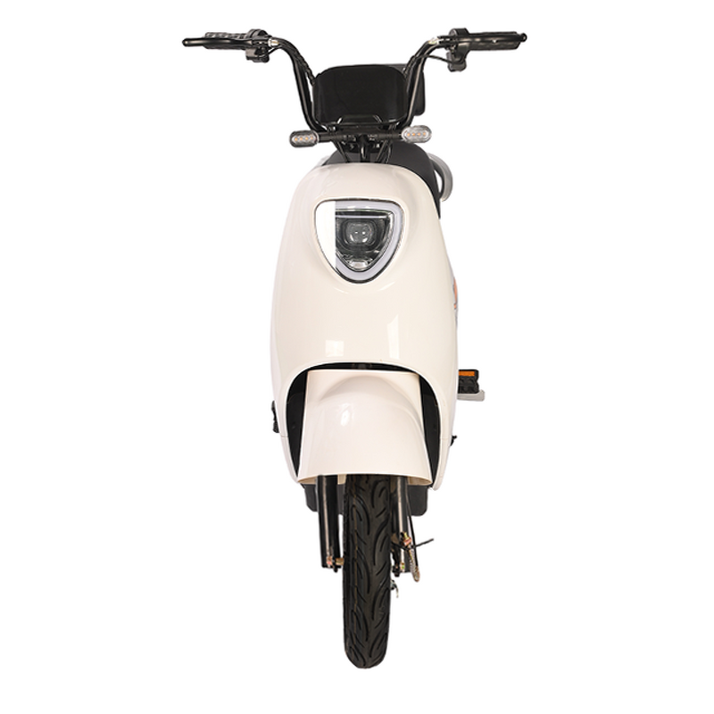 Electric Bicycle Manufacturer - OEM/ODM 2024 Cheap City Leisure Two Wheeled