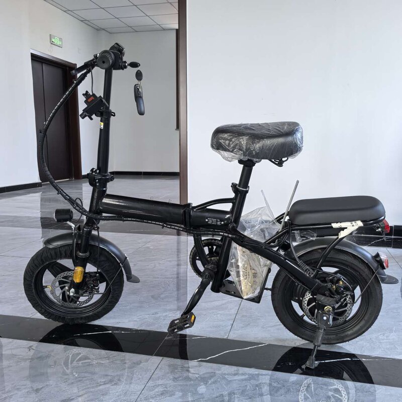 Foldable Electric Bike Manufacturer - OEM/ODM City Bicycle with Cheaper Price