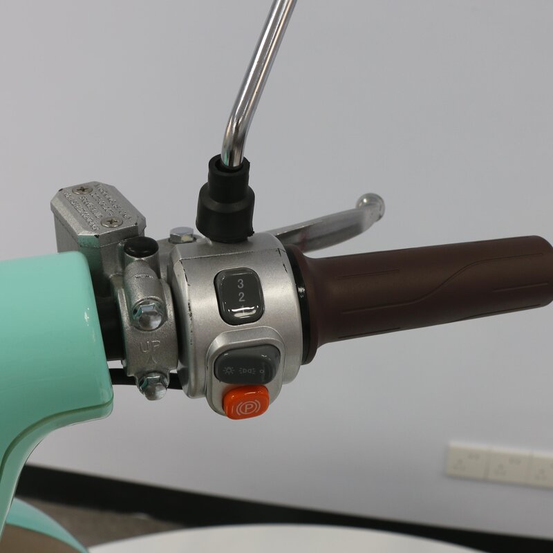 Electric Scooter Manufacturer - OEM/ODM Cheap Lithium Battery Ebike 500w