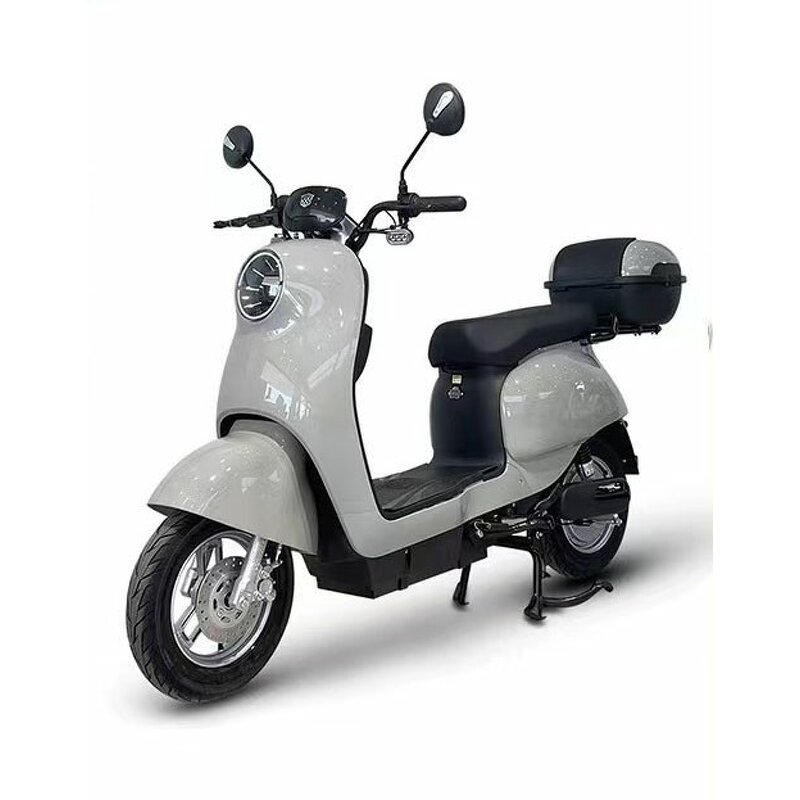 Electric Bicycle Manufacturer - Made in China 48V500w Hot Selling Two-wheel