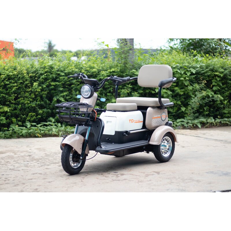 Electric Tricycle Manufacturer - Factory sales City Three wheeled moped