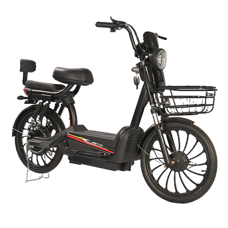 Electric Bicycle Manufacturer - Made in China Lead-acid Battery Good-looking