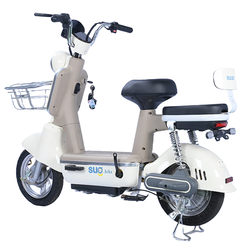 Electric Bike Manufacturer - OEM/ODM 2024 Cheap City Leisure Two Wheeled