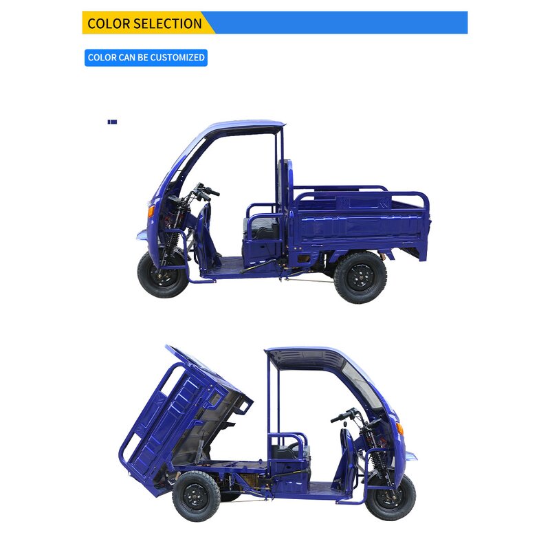 Electric Tricycle Manufacturer - Factory Direct Sale 1000W Cargo Handling