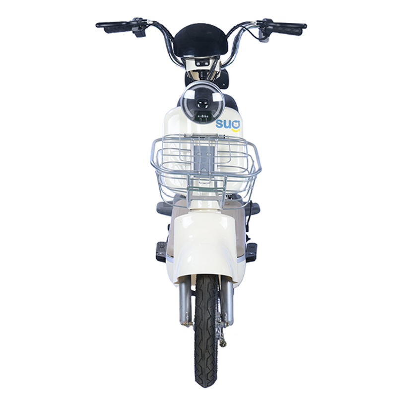 Electric Bike Manufacturer - OEM/ODM 2024 Cheap City Leisure Two Wheeled