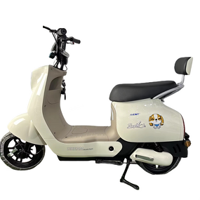 Electric City Bicycle Manufacturer - OEM/ODM Luxury Type Commute Anti-theft