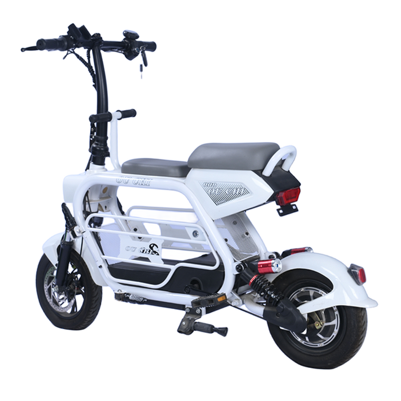 Electric Scooter Manufacturer - OEM/ODM High Quality 350W Lithium Battery
