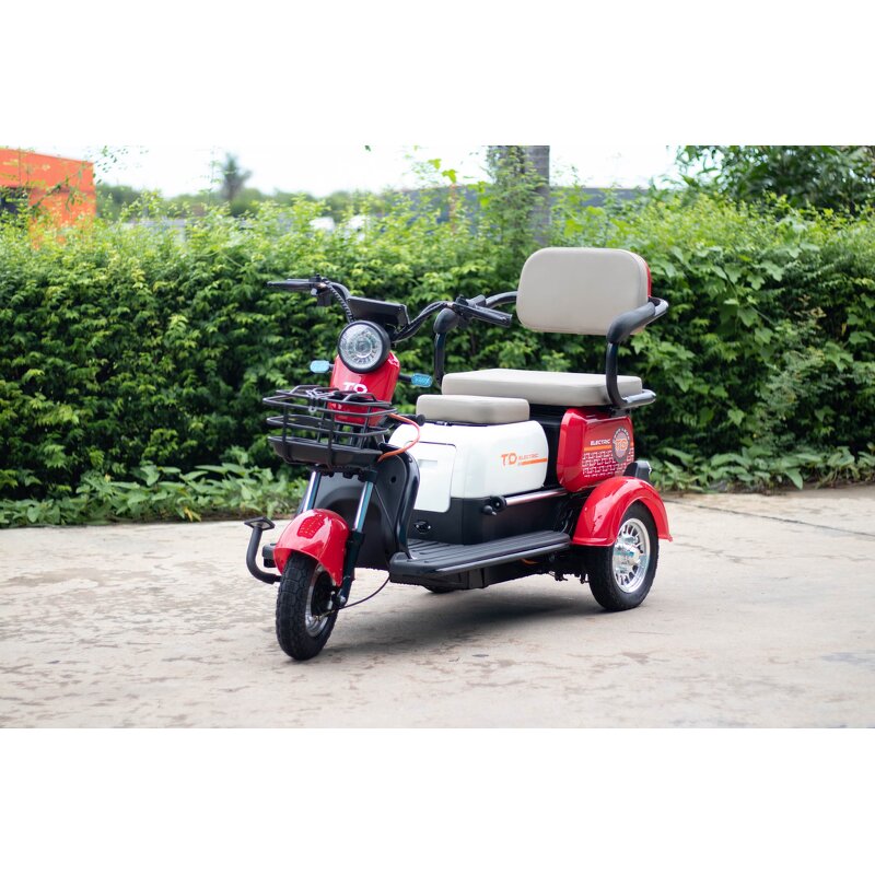 Electric Tricycle Manufacturer - Factory sales City Three wheeled moped
