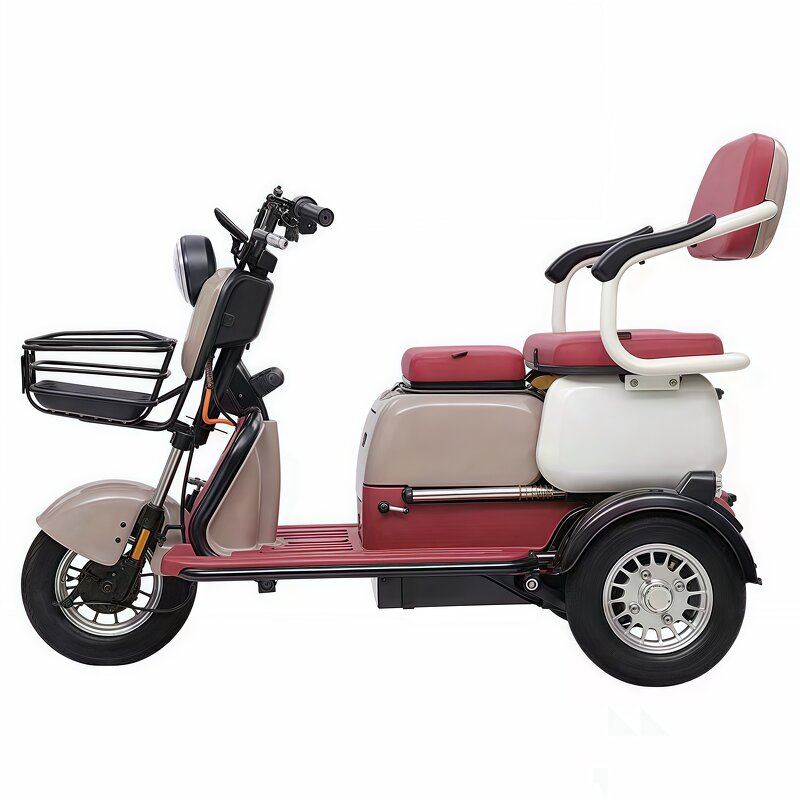 Electric Tricycle Manufacturer - Factory sales City Three wheeled moped