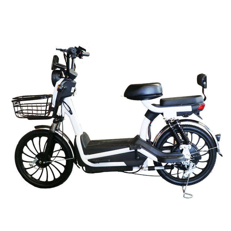 Electric Bicycle Manufacturer - Made in China Lead-acid Battery Good-looking