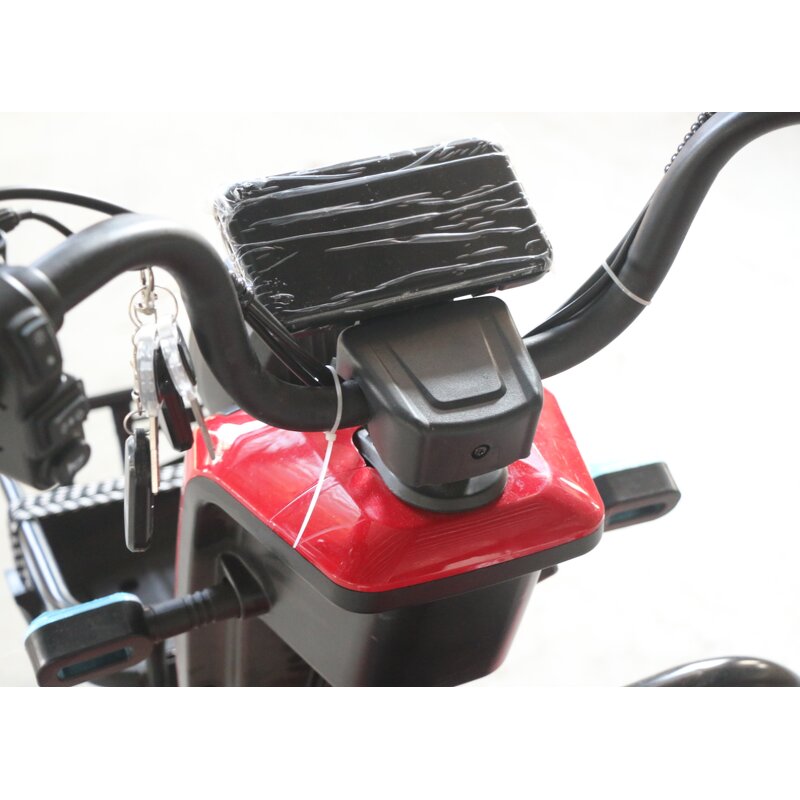 Delivery Electric Tricycle Manufacturer - OEM/ODM 48V 20Ah 800W Brushless