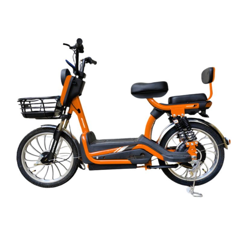 Electric Bicycle Manufacturer - Made in China Lead-acid Battery Good-looking