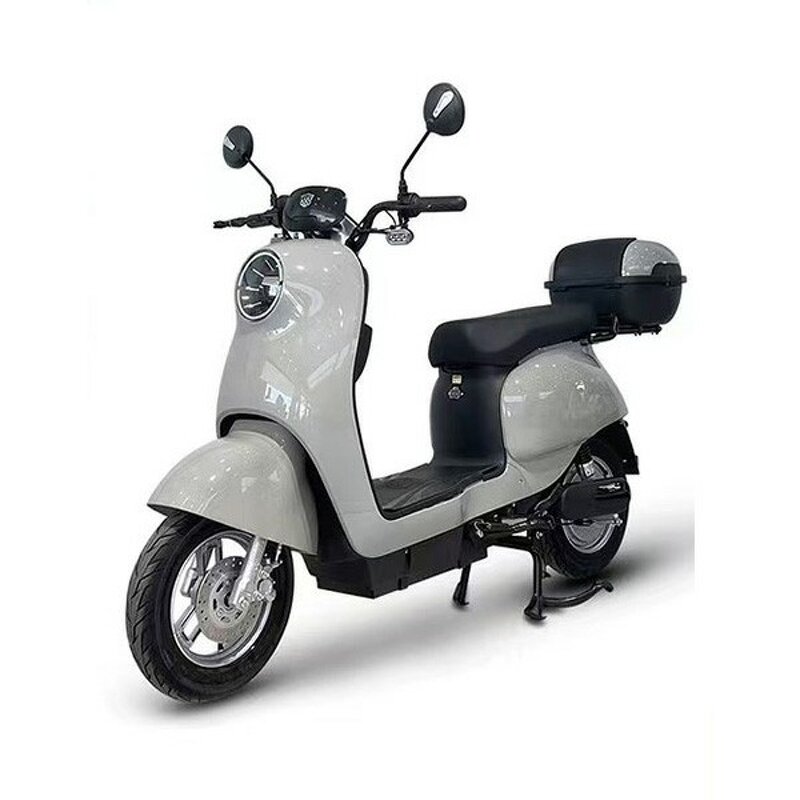 Electric Bicycle Manufacturer - New Model Direct Sales Including Batteries