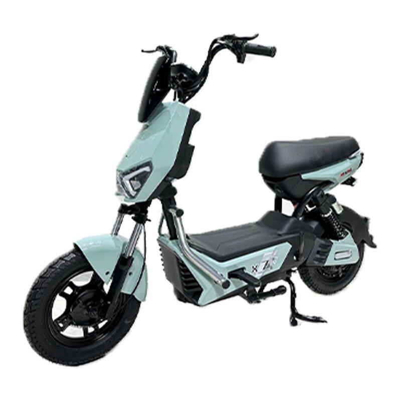Electric Bicycle Manufacturer - OEM/ODM 500w Adult 2-wheel with Lead-acid