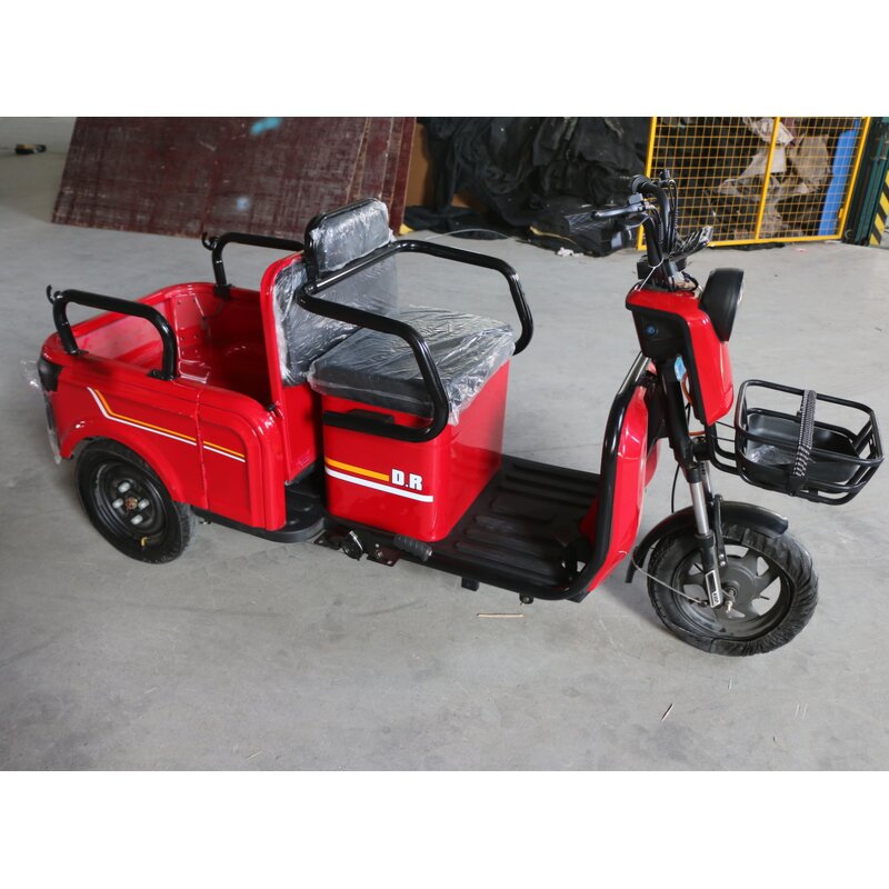 Delivery Electric Tricycle Manufacturer - OEM/ODM 48V 20Ah 800W Brushless