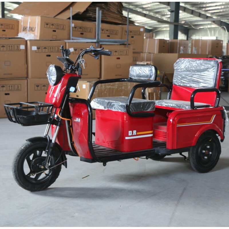Electric Tricycle Manufacturer - China Wholesales New Model 48V 600W