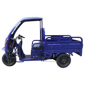 Electric Cargo Tricycle Manufacturer - OEM/ODM High Quality 1000w Motor
